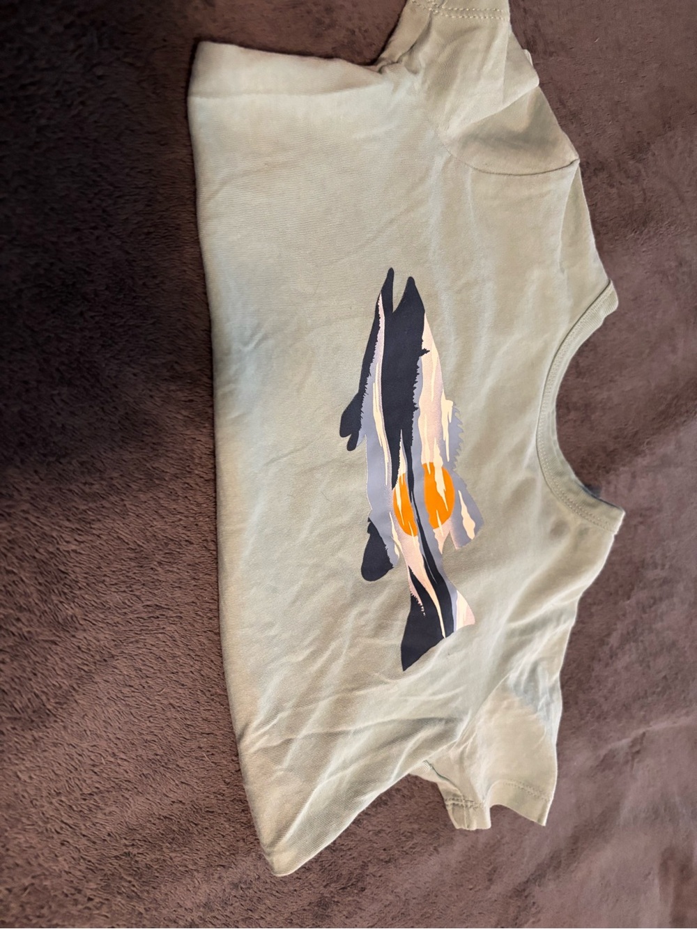 Crewcuts Sage Green Koi Graphic Short Sleeve Tee